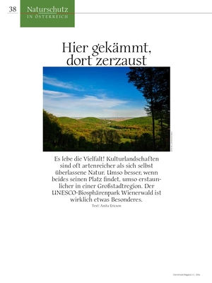Das große Glück im Universummagazin