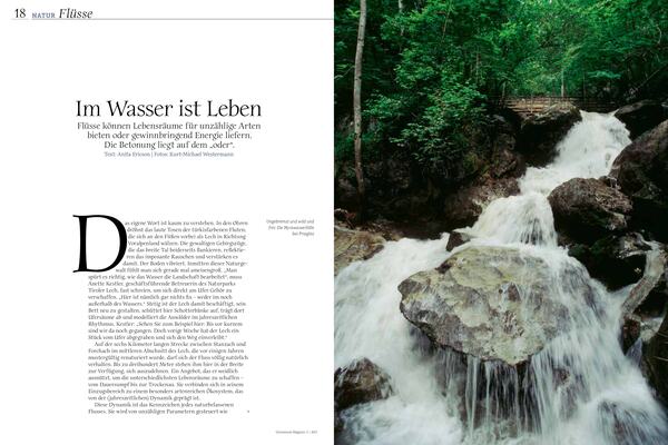 Das große Glück im Universummagazin