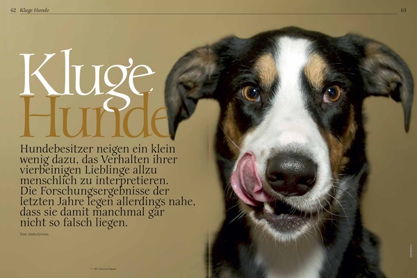 Das große Glück im Universummagazin